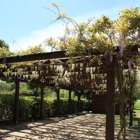 Podere La Campagnola Vakantiehuis San Gimignano